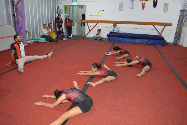 Gimnasia Artística